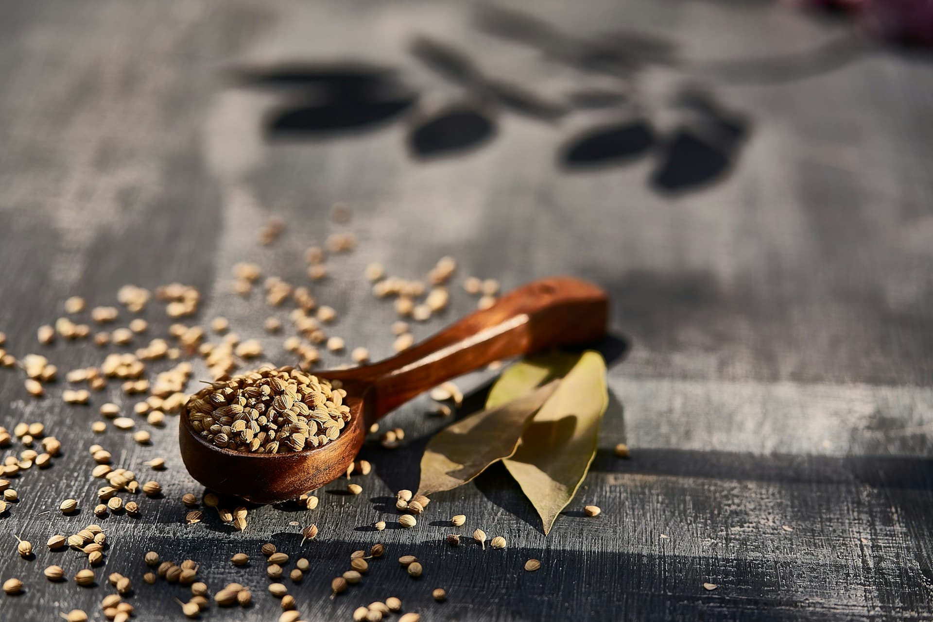 Wooden spoon filled with seeds beside dried herbs